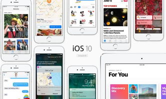 軟件系統資訊與專業軟件咨詢服務 驅動企業數字化轉型的雙引擎